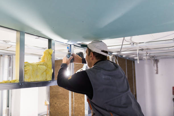Best Soundproof Insulation Installation  in Long Grove, IL
