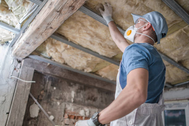 Best Residential Insulation Services  in Long Grove, IL