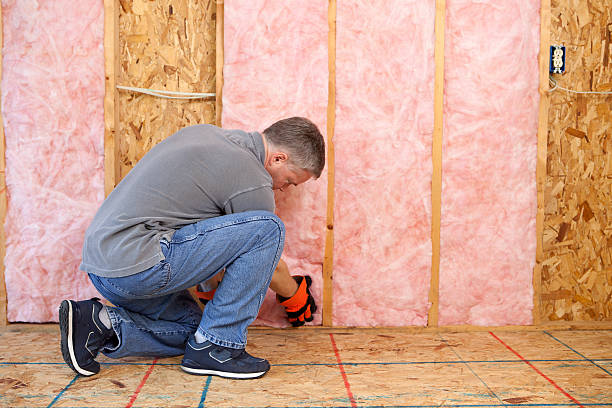 Best Attic Insulation Installation  in Long Grove, IL